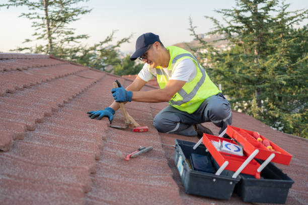 Best Roof Leak Repair  in Bloomgton, IN